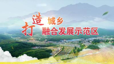 打造城乡融合发展示范区