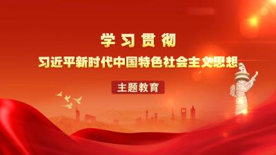 学习贯彻习近平新时代中国特色社会主义思想主题教育