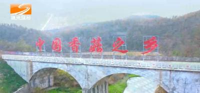2023年12月19日 随州新闻