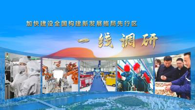加快建设全国构建新发展格局先行区·一线调研