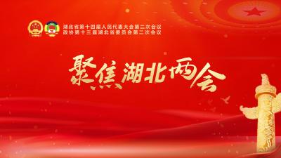 聚焦2024湖北两会
