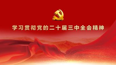 学习贯彻党的二十届三中全会精神