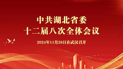 中共湖北省委十二届八次全体会议