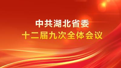 中共湖北省委十二届九次全体会议