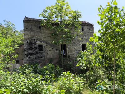 随县草店镇惊现“盐帮古道”