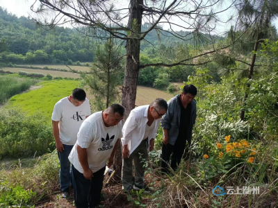 凭吊土门无名烈士墓  ——随县文物四普新发现手记