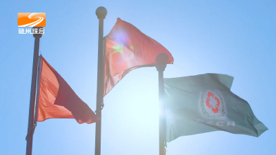 2025年6月3日随州新闻