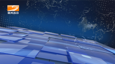 2025年6月3日随县新闻