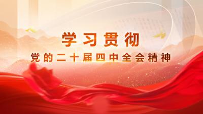 学习贯彻党的二十届四中全会精神