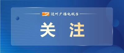 省级荣誉！曾都区教育局荣获“湖北省拥军优属先进单位”
