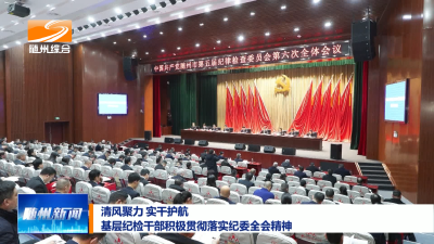 V视| 清风聚力 实干护航  基层纪检干部积极贯彻落实纪委全会精神