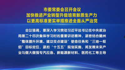 V视| 市委常委会召开会议  加快推进产业转型升级培育新质生产力  以更高标准更实举措推进全面从严治党