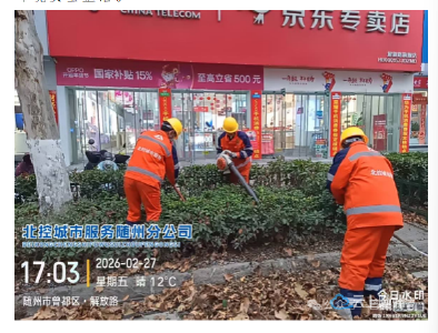 清理树枝除隐患 扮靓道路提颜值