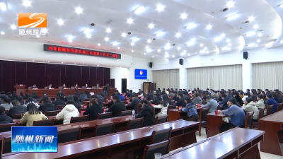 V视| 共青团随州市委五届三次全体（扩大）会议召开