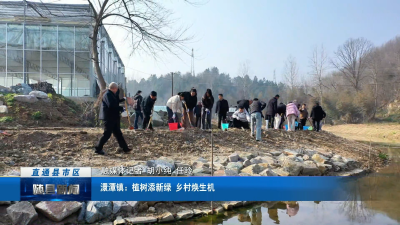 澴潭镇：植树添新绿 乡村焕生机