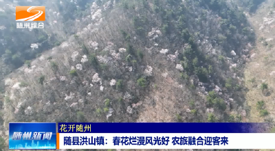 V视|《花开随州》 随县洪山镇：春花烂漫风光好 农旅融合迎客来