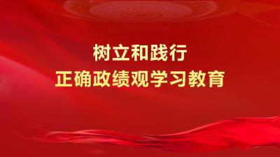 专题 | 树立和践行正确政绩观学习教育