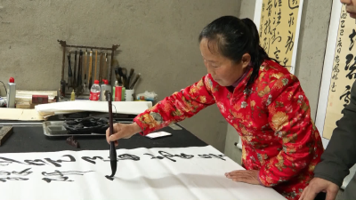 V视| 尚凤娥：以笔为犁以墨播种 六旬农妇的书法梦