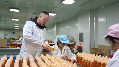 V视| 抢生产线上线下订单忙 集蜂堂“甜蜜事业”开门红