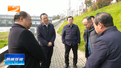 V视| 徐锋带队到均水河开展第一季度巡河