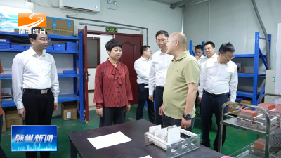 V视| 胡志莉调研就业创业推介相关场景应用时强调  聚焦“三大核心”持续优化生态 推动全市就业创业工作提质增效