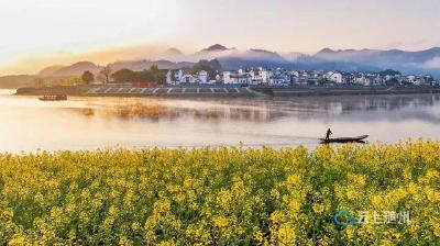 铺展绿水青山新画卷——习近平生态文明思想引领美丽中国建设迈出坚实步伐