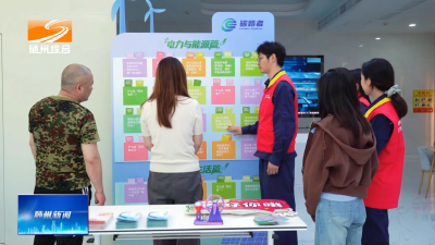 V视| 一红一绿闪耀品牌日 国网随州供电公司赋能城市发展