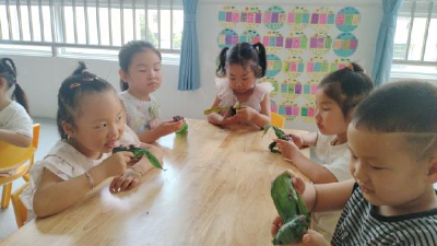 【优化营商环境】淅河镇幼儿园开展“粽叶飘香，童趣端午”主题实践活动