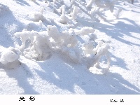 三潭雪景