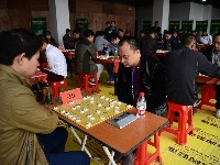 2016广水市象棋公开赛