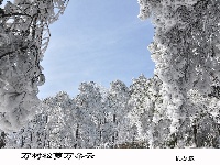 三潭雪景