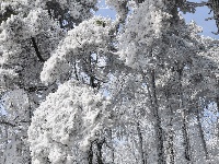 三潭雪景