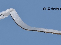 三潭雪景