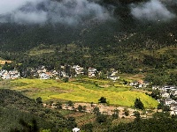 广水美丽乡村-桃源村