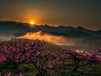 广水市第16届摄影艺术展入选作品（艺术类）