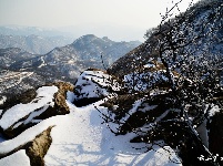 下雪了，好冷OR好美！