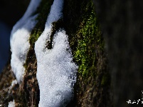 下雪了，好冷OR好美！