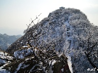 下雪了，好冷OR好美！