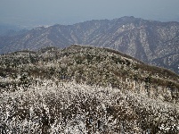 下雪了，好冷OR好美！
