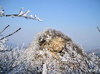 下雪了，好冷OR好美！