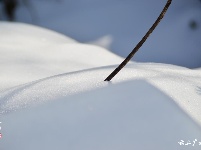 下雪了，好冷OR好美！