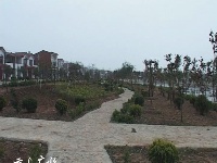 美丽乡村——吴店镇东湾村