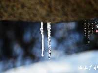 下雪了，好冷OR好美！