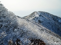 下雪了，好冷OR好美！