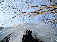 下雪了，好冷OR好美！