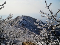 下雪了，好冷OR好美！