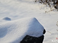下雪了，好冷OR好美！