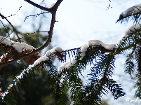 下雪了，好冷OR好美！