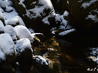 下雪了，好冷OR好美！