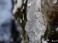 下雪了，好冷OR好美！